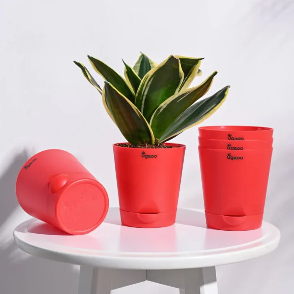 Krish Self Watering Planter - Set of 5