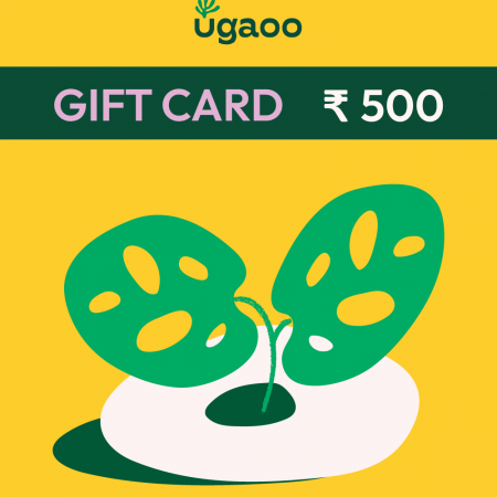 Ugaoo E-Gift Card