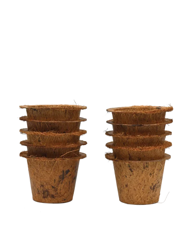 The Ugaoo Coco Coir Pots